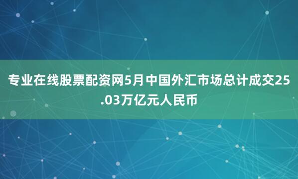 专业在线股票配资网5月中国外汇市场总计成交25.03万亿元人民币