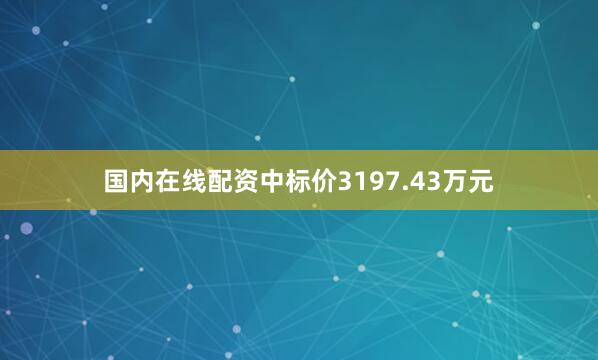 国内在线配资中标价3197.43万元